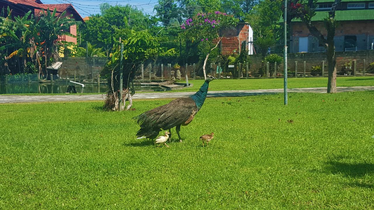Pousada Pavao Branco Florianópolis Екстериор снимка