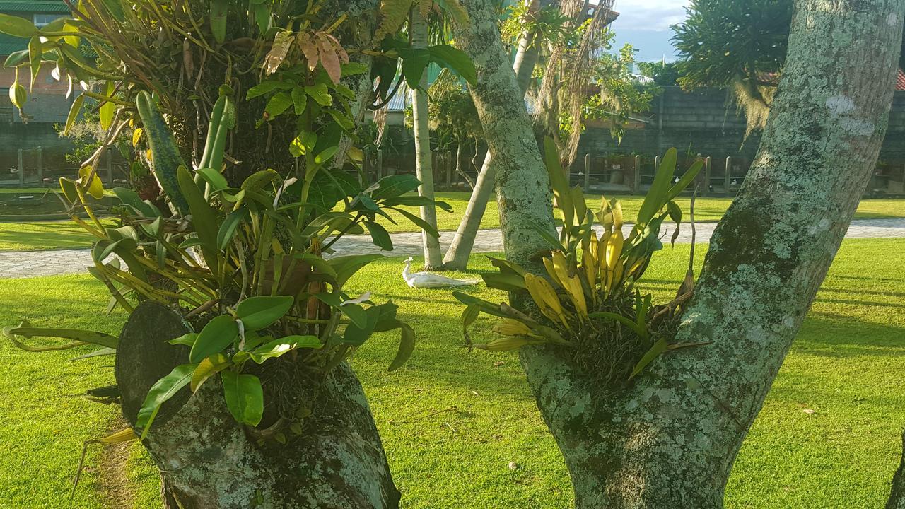 Pousada Pavao Branco Florianópolis Екстериор снимка