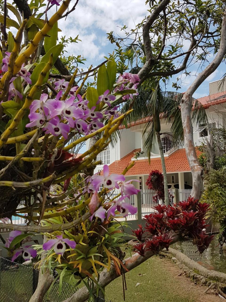 Pousada Pavao Branco Florianópolis Екстериор снимка