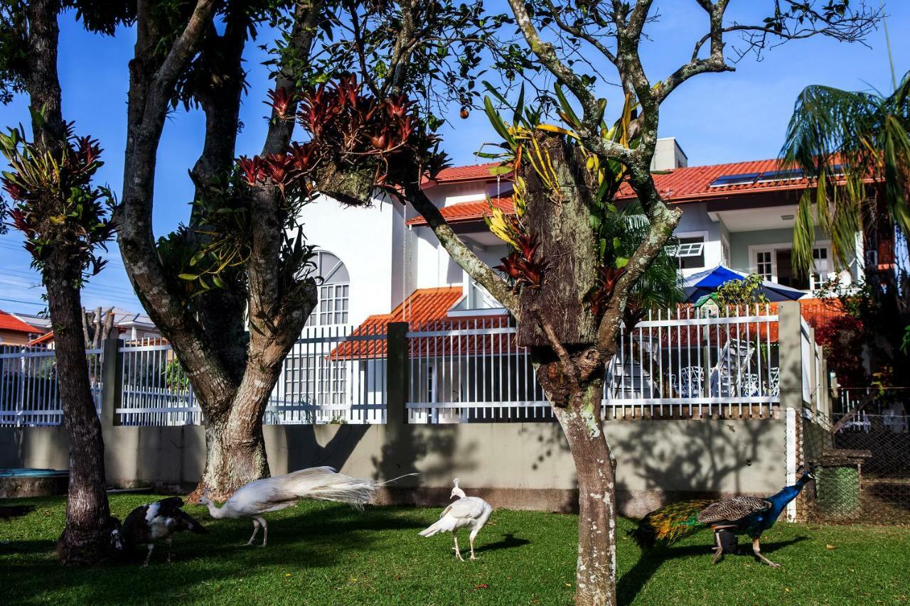 Pousada Pavao Branco Florianópolis Екстериор снимка